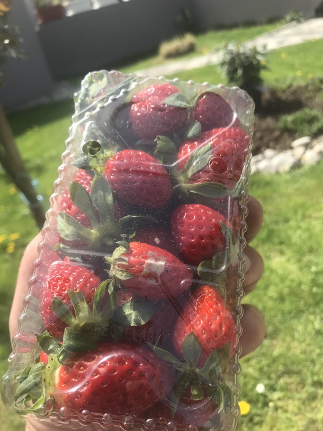Jagode